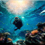 Screenshot 2023-10-04 024717